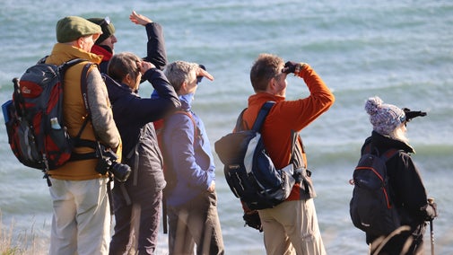 Walkers looking out to sea on the coast path near Devon